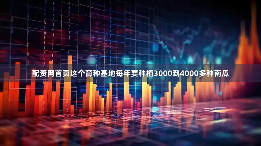 配资网首页这个育种基地每年要种植3000到4000多种南瓜