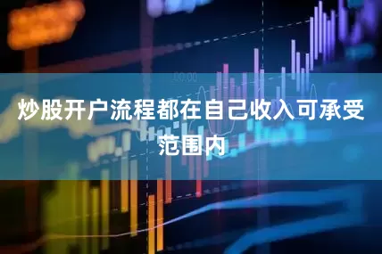 炒股开户流程都在自己收入可承受范围内