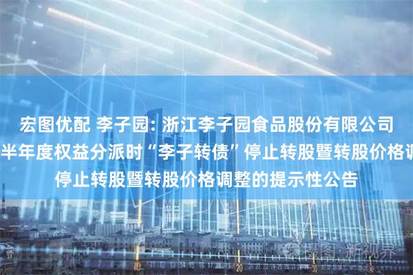 宏图优配 李子园: 浙江李子园食品股份有限公司关于实施2025年半年度权益分派时“李子转债”停止转股暨转股价格调整的提示性公告