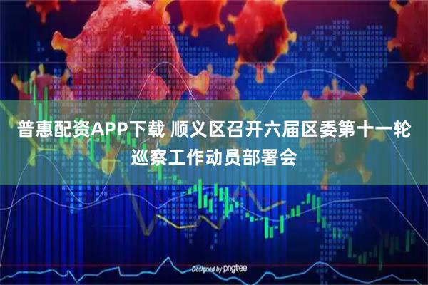 普惠配资APP下载 顺义区召开六届区委第十一轮巡察工作动员部署会